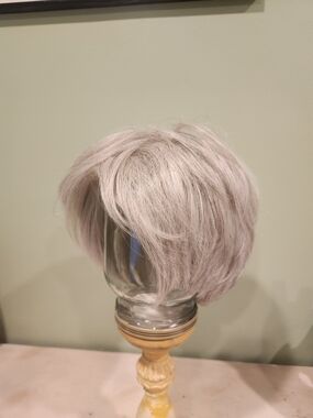 Gabor Short Layered Wig in Silver